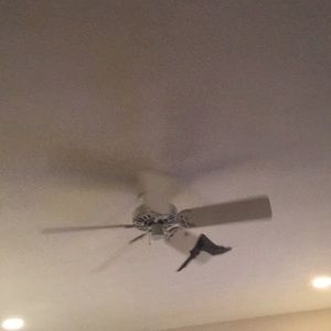 Meet your Posher, Juan